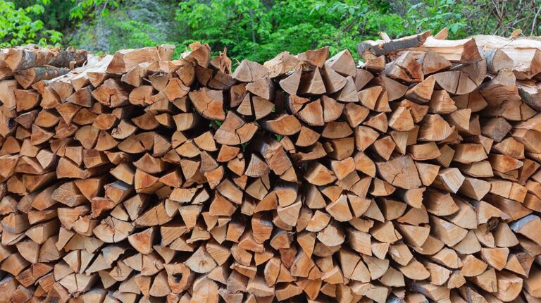 Salone del Mobile 2023: l’export del legno è in crescita
