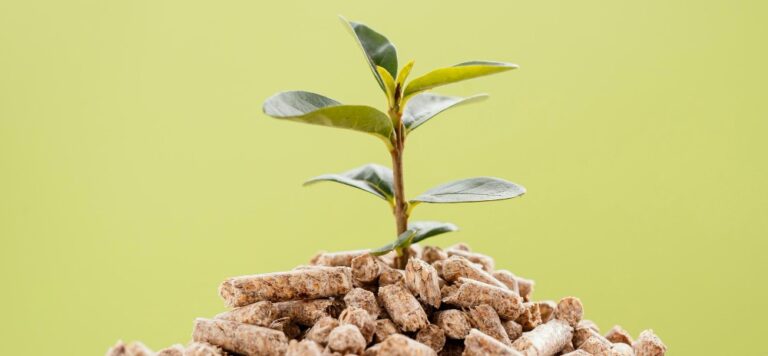 Le famiglie italiane scelgono il pellet: la ricerca AIEL spiega i vantaggi di un riscaldamento a biomassa